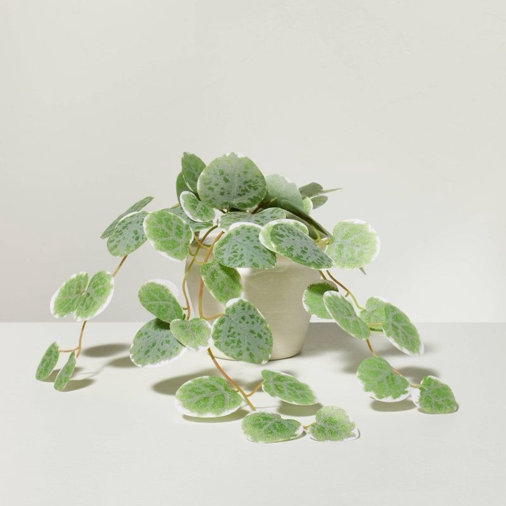 Hearth & Hand 7.5" Mini Faux Variegated String of Hearts Plant NWT ✨Sold Out✨